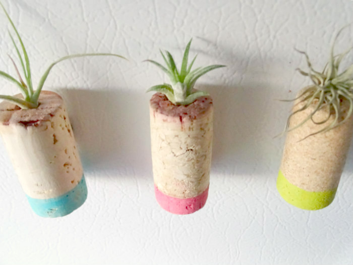 DIY Upcycled Cork Air Plant Magnets