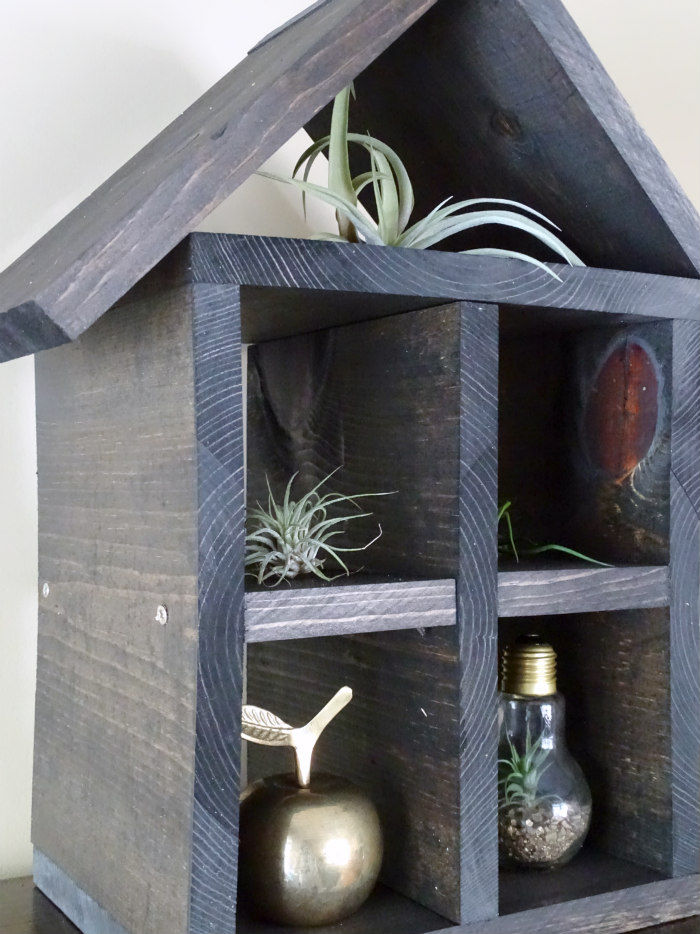 How to Build an Air Plant House