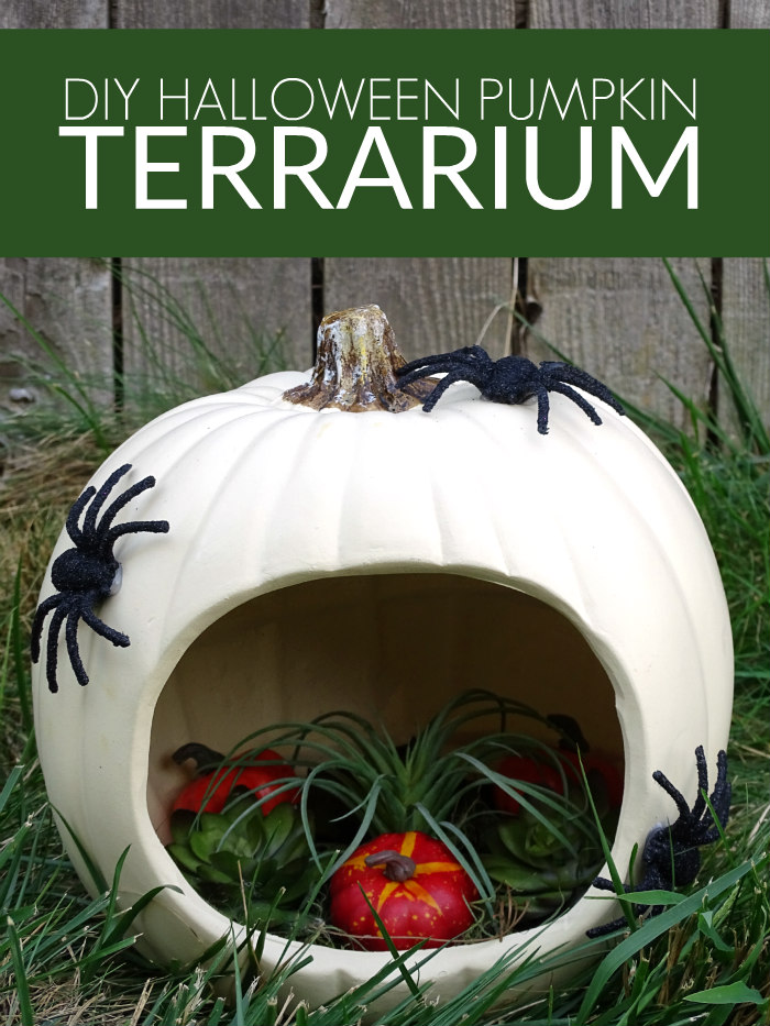 DIY Halloween Pumpkin Terrarium