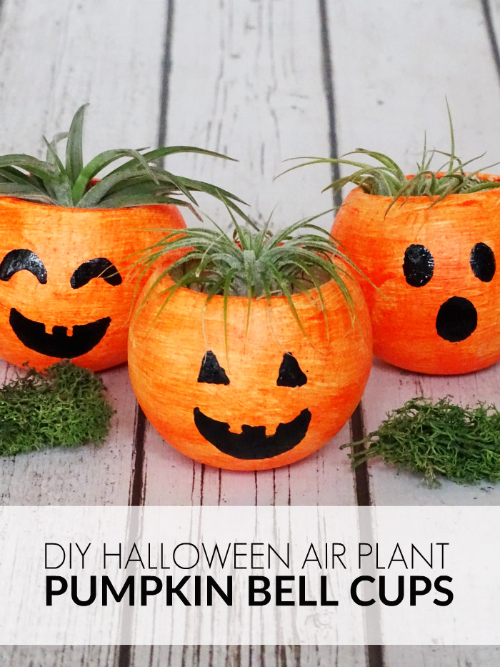 DIY Halloween Air Plant Pumpkin Bell Cups