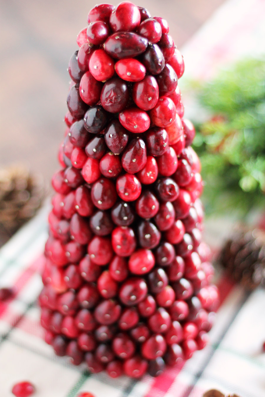 88 Clever Ways to Decorate with Cranberries - family holiday.net/guide to  family holidays on the internet