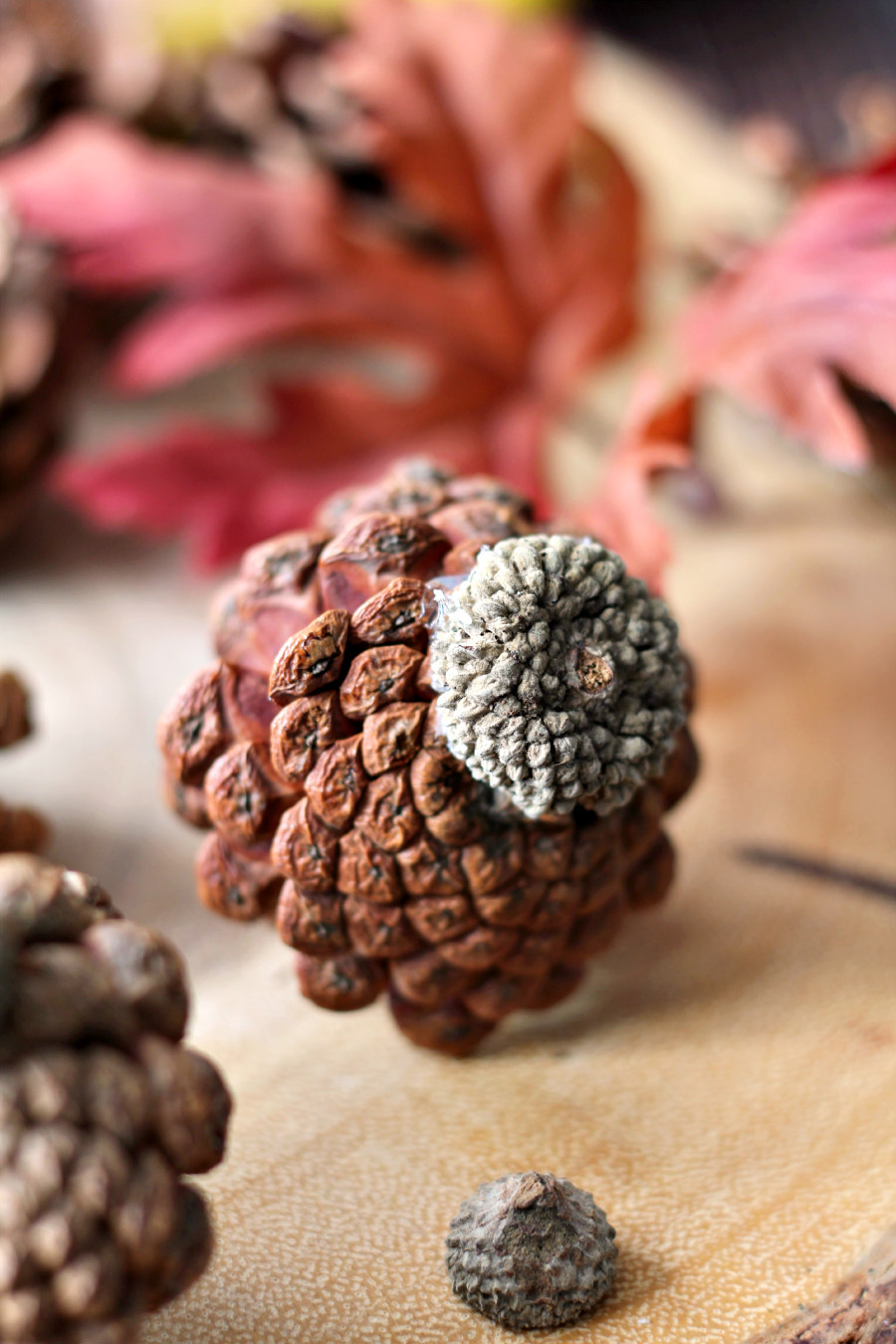 Acorn cap hot glued onto pine cone to form turkey head and body. Other pine cones and autumn leaves also pictured on wood slice.